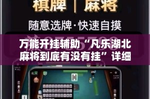 万能开挂辅助“凡乐湖北麻将到底有没有挂”详细分享装挂步骤