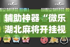 辅助神器“微乐湖北麻将开挂视频”(作弊)辅助透视教程