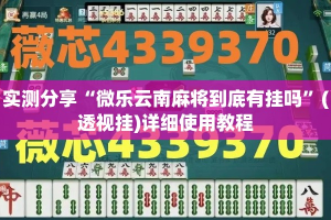 实测分享“微乐云南麻将到底有挂吗”(透视挂)详细使用教程