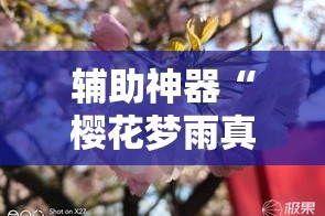 辅助神器“樱花梦雨真的可以开挂吗”其实确实有挂
