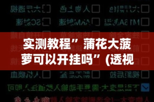 实测教程”蒲花大菠萝可以开挂吗”(透视挂)详细使用教程