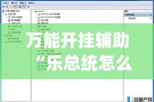 万能开挂辅助“乐总统怎么开挂”(透视挂)详细使用教程
