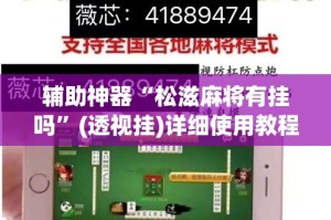 辅助神器“松滋麻将有挂吗”(透视挂)详细使用教程