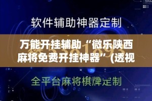 万能开挂辅助“微乐陕西麻将免费开挂神器”(透视挂)详细使用教程