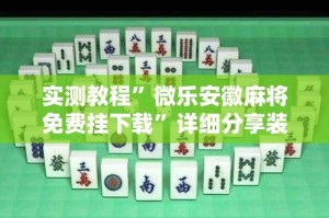 实测教程”微乐安徽麻将免费挂下载”详细分享装挂步骤