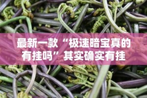 最新一款“极速暗宝真的有挂吗”其实确实有挂