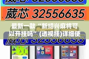 最新一款“新绍兴麻将可以开挂吗”(透视挂)详细使用教程