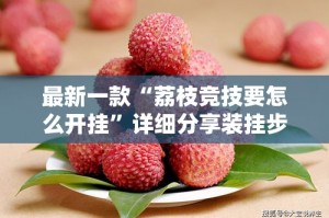 最新一款“荔枝竞技要怎么开挂”详细分享装挂步骤