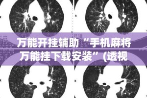 万能开挂辅助“手机麻将万能挂下载安装”(透视挂)详细使用教程