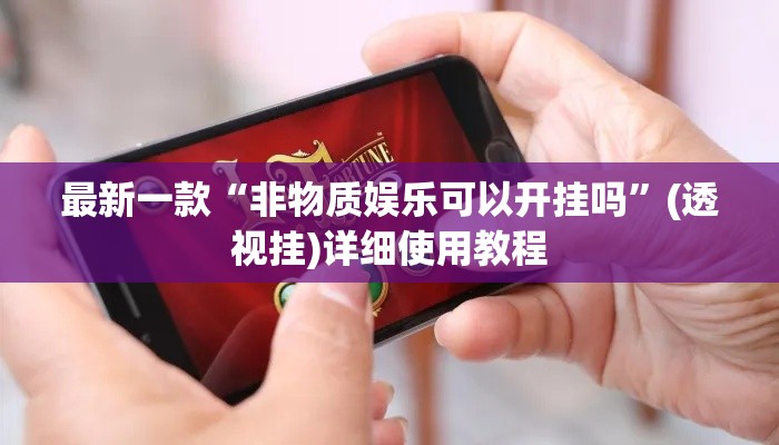 最新一款“非物质娱乐可以开挂吗”(透视挂)详细使用教程