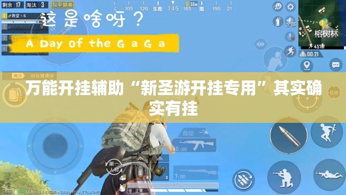 万能开挂辅助“新圣游开挂专用”其实确实有挂