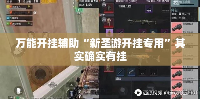 万能开挂辅助“新圣游开挂专用	”其实确实有挂