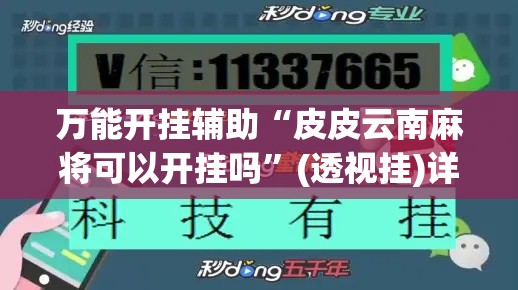 万能开挂辅助“皮皮云南麻将可以开挂吗”(透视挂)详细使用教程