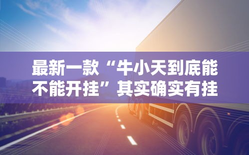 最新一款“牛小天到底能不能开挂”其实确实有挂