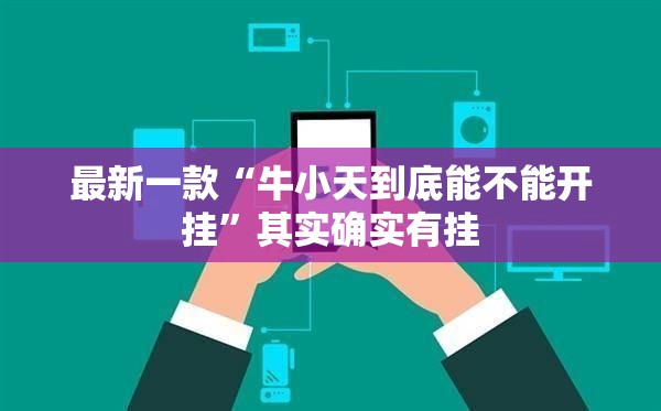 最新一款“牛小天到底能不能开挂”其实确实有挂