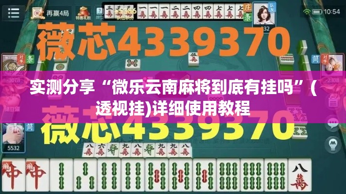 实测分享“微乐云南麻将到底有挂吗	”(透视挂)详细使用教程