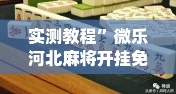 实测教程”微乐河北麻将开挂免费下载”(作弊)辅助透视教程
