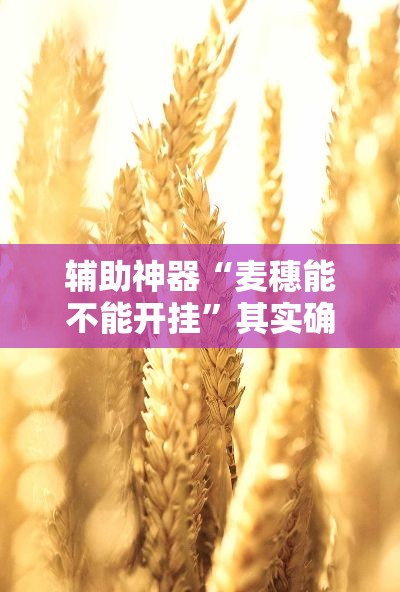 辅助神器“麦穗能不能开挂”其实确实有挂