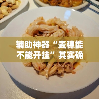 辅助神器“麦穗能不能开挂	”其实确实有挂