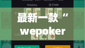 最新一款“wepoker透视辅助”详细分享装挂步骤