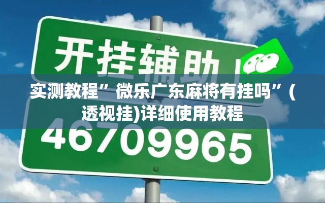 实测教程	”微乐广东麻将有挂吗”(透视挂)详细使用教程