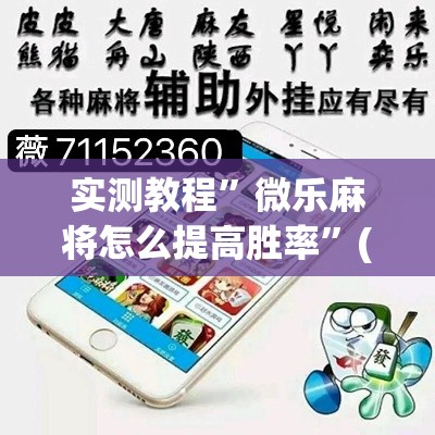实测教程	”微乐麻将怎么提高胜率”(透视挂)详细使用教程
