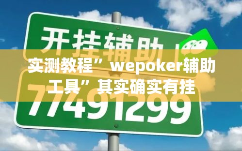 实测教程	”wepoker辅助工具”其实确实有挂