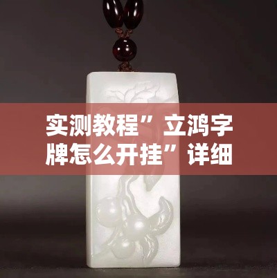 实测教程	”立鸿字牌怎么开挂”详细分享装挂步骤