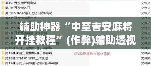 辅助神器“中至吉安麻将开挂教程”(作弊)辅助透视教程
