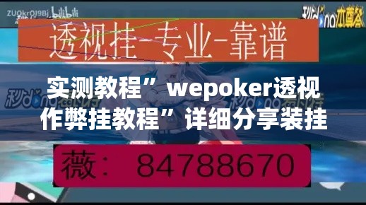 实测教程”wepoker透视作弊挂教程	”详细分享装挂步骤