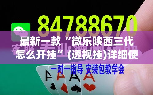 最新一款“微乐陕西三代怎么开挂”(透视挂)详细使用教程