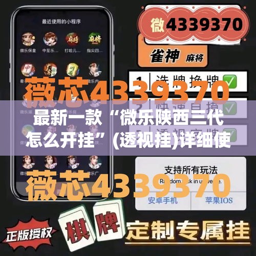最新一款“微乐陕西三代怎么开挂”(透视挂)详细使用教程