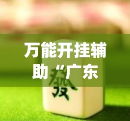 万能开挂辅助“广东雀神麻将开挂器视频教程”(作弊)辅助透视教程