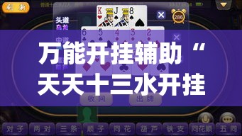 万能开挂辅助“天天十三水开挂方法辅助工具”(透视挂)详细使用教程