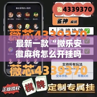 最新一款“微乐安徽麻将怎么开挂吗”(透视挂)详细使用教程