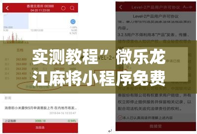 实测教程”微乐龙江麻将小程序免费挂”(作弊)辅助透视教程
