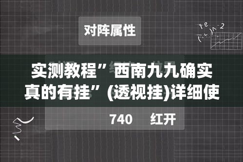实测教程”西南九九确实真的有挂”(透视挂)详细使用教程