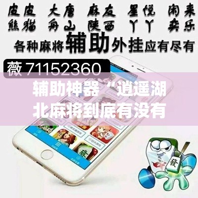 辅助神器“逍遥湖北麻将到底有没有挂	”(作弊)辅助透视教程
