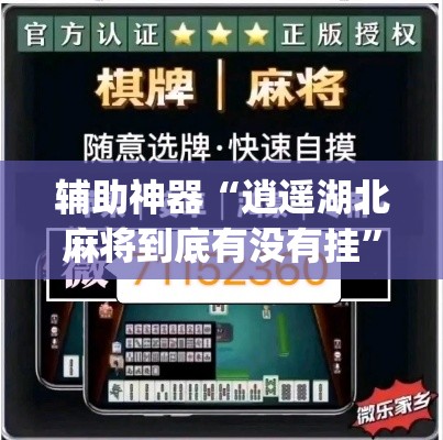 辅助神器“逍遥湖北麻将到底有没有挂”(作弊)辅助透视教程