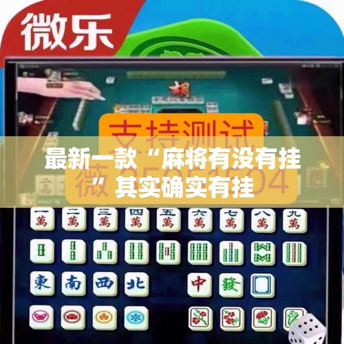最新一款“麻将有没有挂”其实确实有挂