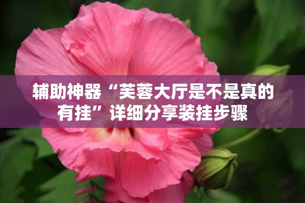 辅助神器“芙蓉大厅是不是真的有挂”详细分享装挂步骤