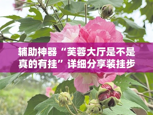 辅助神器“芙蓉大厅是不是真的有挂	”详细分享装挂步骤