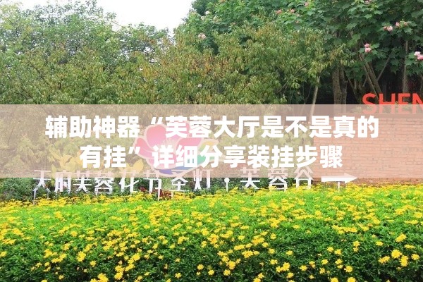 辅助神器“芙蓉大厅是不是真的有挂	”详细分享装挂步骤