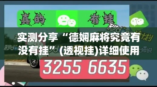 实测分享“德娴麻将究竟有没有挂”(透视挂)详细使用教程