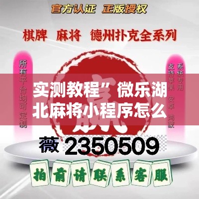 实测教程”微乐湖北麻将小程序怎么开挂	”详细分享装挂步骤