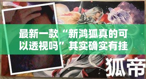 最新一款“新鸿狐真的可以透视吗”其实确实有挂