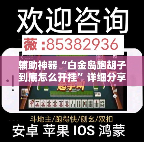 辅助神器“白金岛跑胡子到底怎么开挂”详细分享装挂步骤