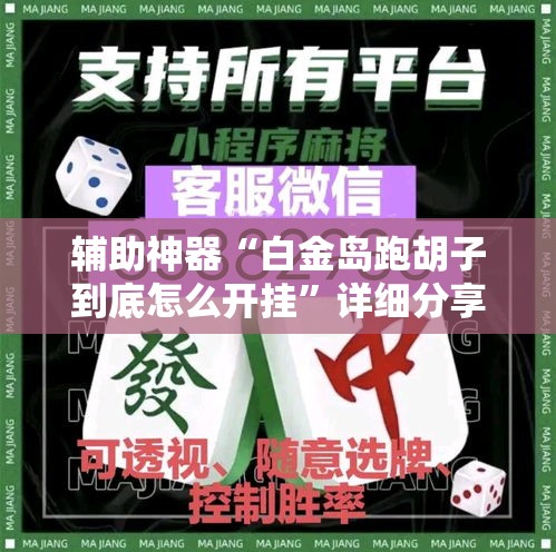 辅助神器“白金岛跑胡子到底怎么开挂”详细分享装挂步骤