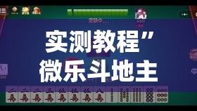 实测教程	”微乐斗地主小程序透视下载”详细分享装挂步骤