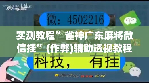 实测教程	”雀神广东麻将微信挂”(作弊)辅助透视教程